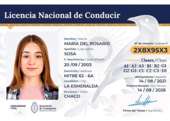 Cómo renovar la licencia de conducir en Tucumán: requisitos, turno y paso a paso